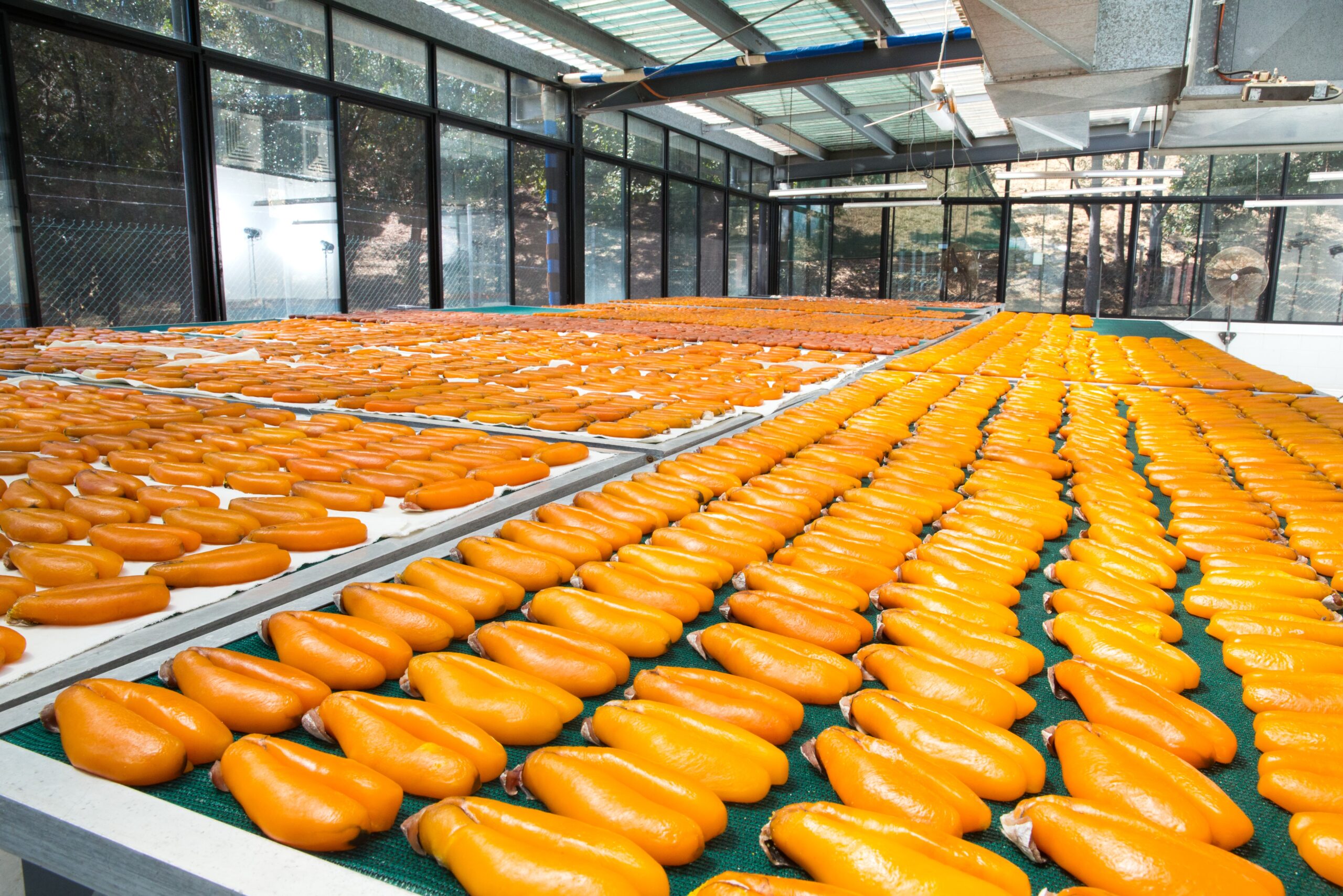 Karasumi Australia facility