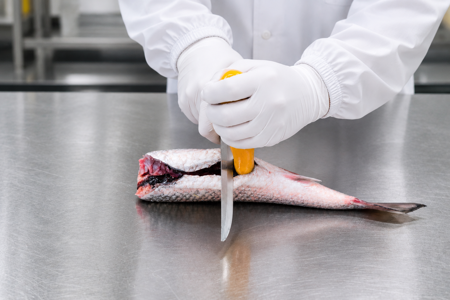 Skilled fish processing